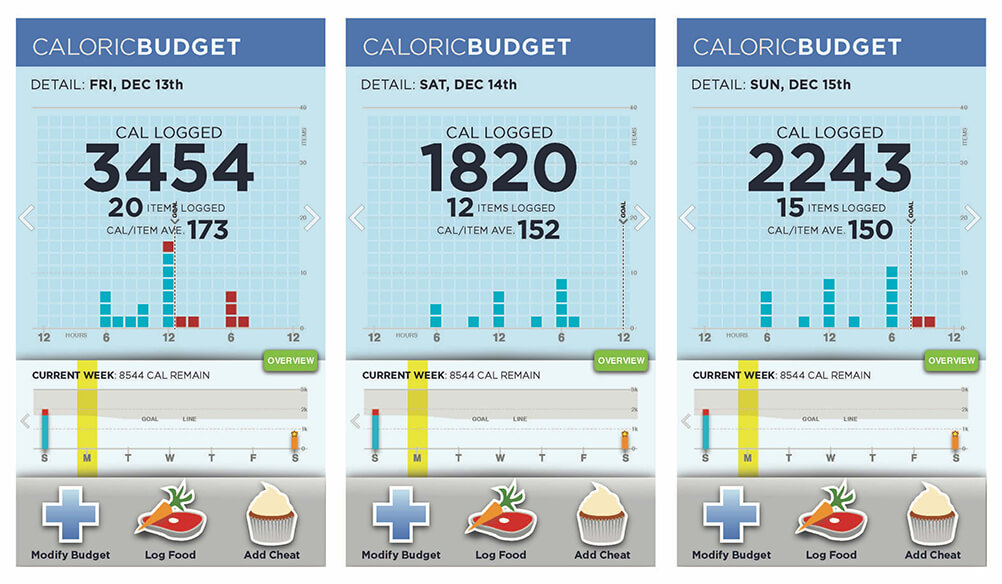 Project example image for Caloric Budget